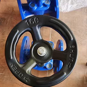 صمام البوابة