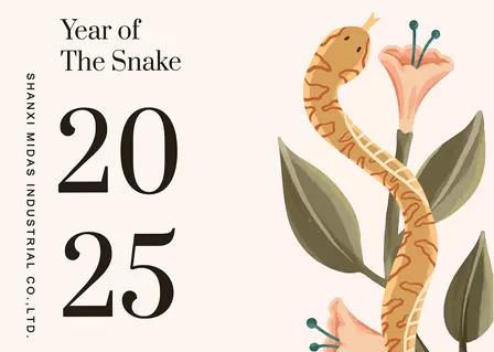 عام جديد سعيد 2025!