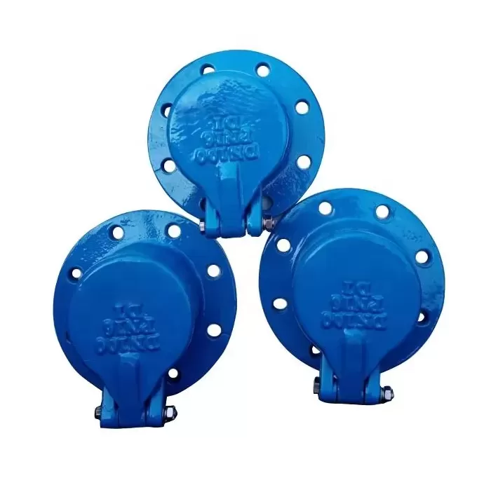 الصمام القلابي